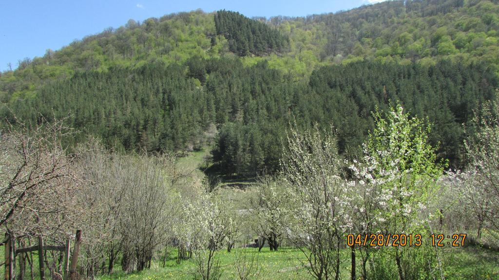 Dilijan Duplex Villa Екстериор снимка