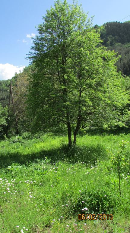 Dilijan Duplex Villa Екстериор снимка